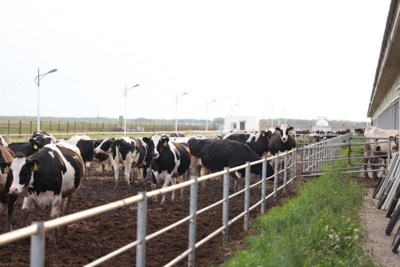 深圳—珠海：从3小时到20分钟！首条跨海跨城eVTOL航线首飞成功