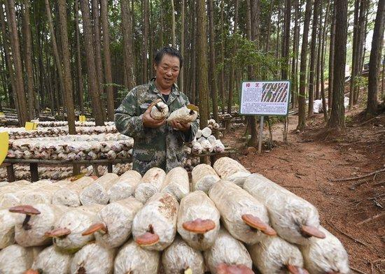 自动草稿