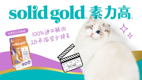 「超正经美毛猫大赛」圆满收官，Solid Gold素力高出圈打造宠物美毛天花板！