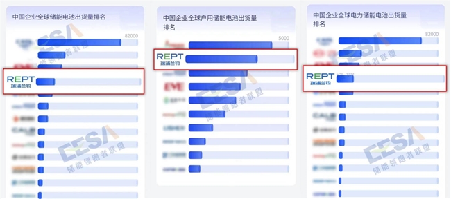 瑞浦兰钧靠什么抢份额?年报透露关键信息