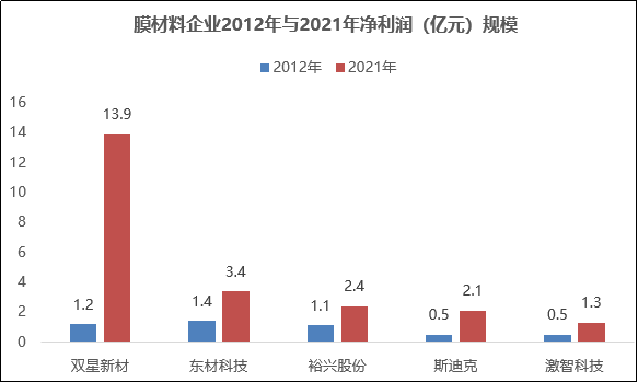 聚酯薄膜行业处于周期底部，双星新材逆势增长彰显经营韧性