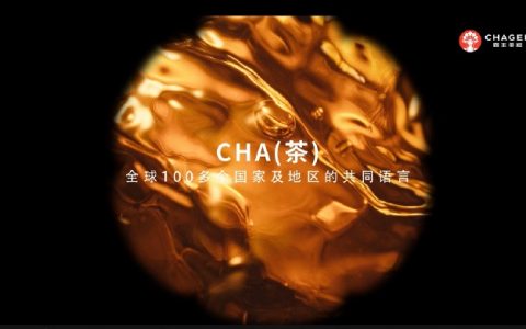 霸王茶姬张俊杰对话撬动企业战略咨询林超戎：世界在呼唤CHA