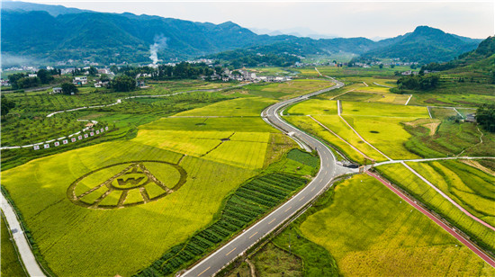 五粮液：芒种时节好“丰景” 酿出“和美”生活