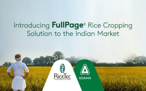 安道麦携手RiceTec在印度推出 FullPage®水稻种植解决方案