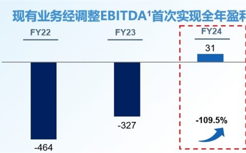 医渡科技财报解析：成为AI医疗盈利第一股背后的逻辑