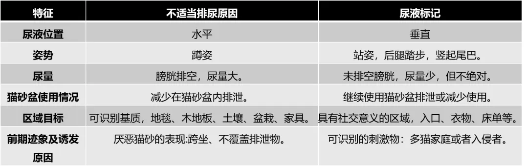 新瑞鹏集团“爱猫项目组”成功举办猫宠主沙龙：为南京“猫宠主们”带来专业猫科知识