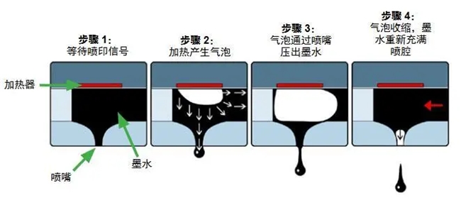 喷墨打印机丨热发泡V.S.微压电，谁更顺应当下市场环境？