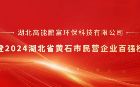 高能鹏富荣登2024黄石市民营企业百强榜单