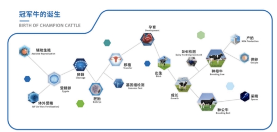 育种科技结硕果 优然牧业赛科星联合主办 家畜生物育种与胚胎工程技术国际学术研讨会