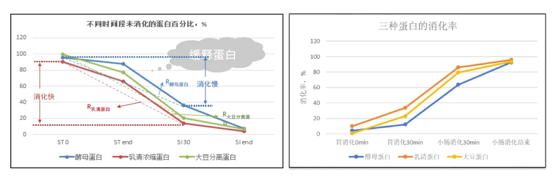 未来食品科技之星：安琪酵母蛋白的潜力与前景