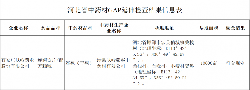 以岭药业引领中药材标准化种植，涉县连翘绽放乡村振兴新希望