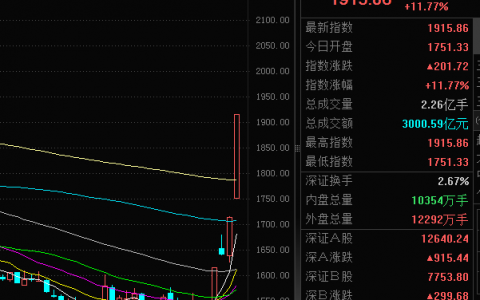 见证历史！创业板指涨超11%