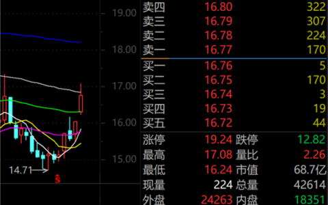 A股爆火 机构最新猎物曝光 4只千亿市值龙头在列 高毅资产现身4股 朱少醒盯上“独苗”