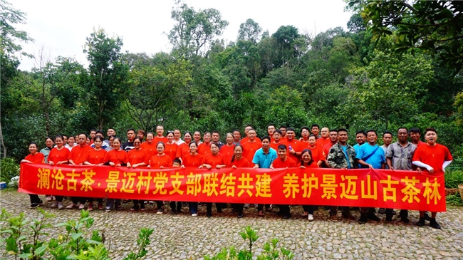 全国模范!澜沧古茶荣获全国民族团结进步模范集体称号