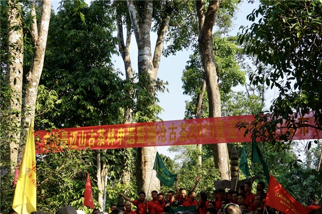 全国模范!澜沧古茶荣获全国民族团结进步模范集体称号