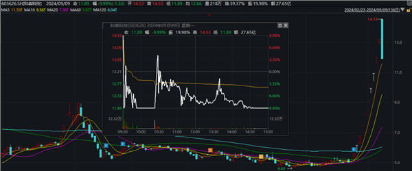 打通一级市场投资再循环 VC/PE机构共谋多元化退出路径