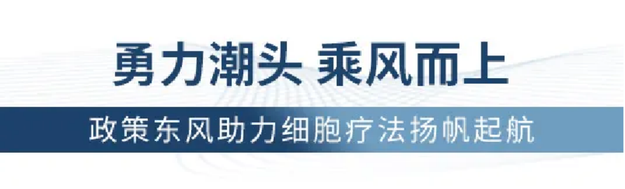 全国首家！塞力医疗参股公司康达行健获批外商投资人体基因与细胞治疗技术企业