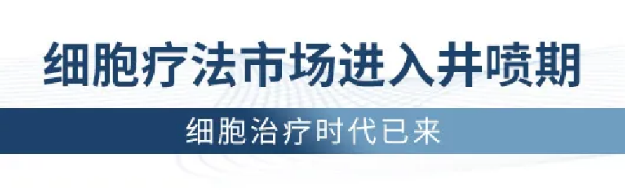 全国首家！塞力医疗参股公司康达行健获批外商投资人体基因与细胞治疗技术企业