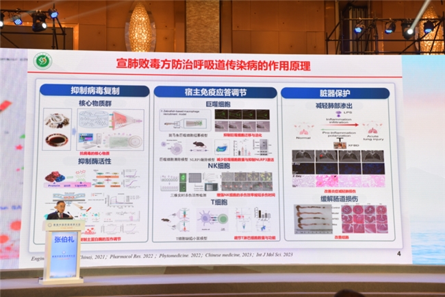 张伯礼院士：宣肺败毒方在呼吸道传染病的主要作用不在抗病毒，而在炎症控制，和维持机体免疫稳态