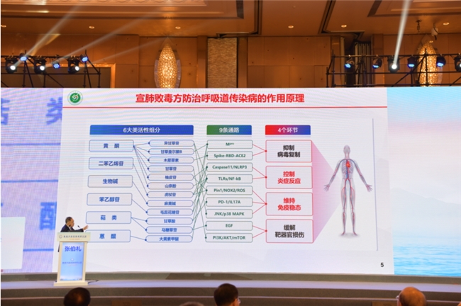 张伯礼院士：宣肺败毒方在呼吸道传染病的主要作用不在抗病毒，而在炎症控制，和维持机体免疫稳态