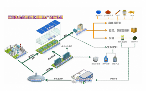 微藻产业革新者：江苏藻链生态科技重塑粮食安全与环保产业版图