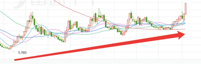 基本面驱动价值回归，云顶新耀股价创52周新高