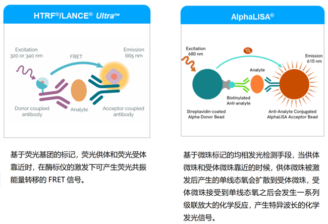 深度合作，共促成功 上海玮驰与瑞孚迪提供药物研发全面解决方案