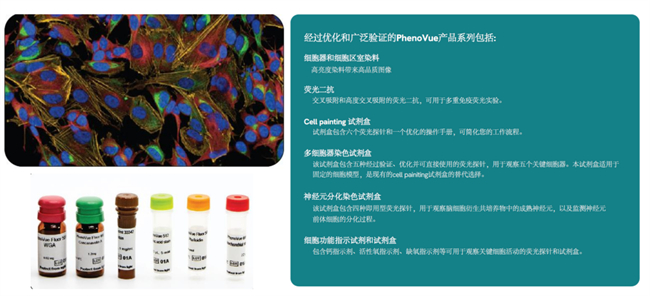 深度合作，共促成功 上海玮驰与瑞孚迪提供药物研发全面解决方案