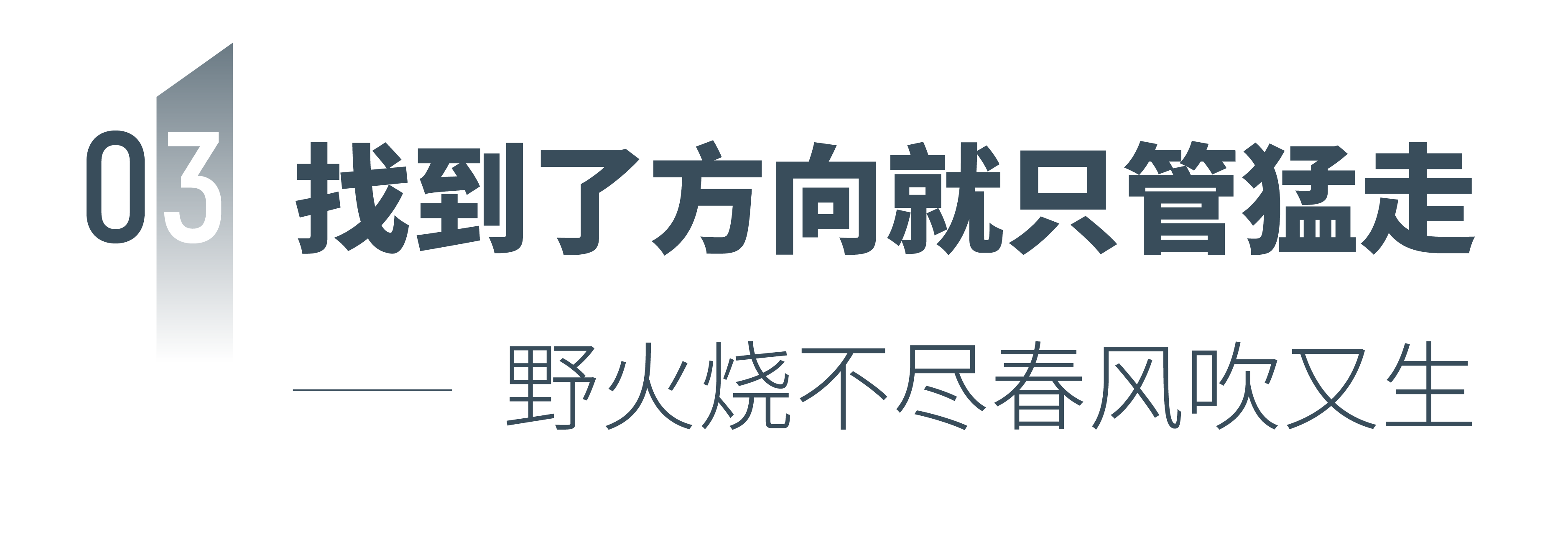 “现世探享家”野草寮乐队用音乐探索文化交融的边界，击中每个异乡人的灵魂