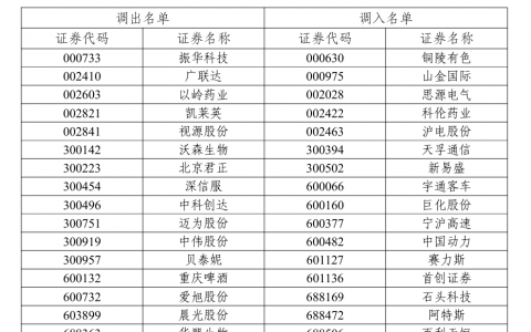 石头科技“黑五”全球战绩耀眼，纳入沪深300指数彰显长期价值