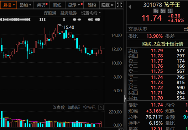 严把发行上市准入关！2024年IPO收官，大型券商仍占主导