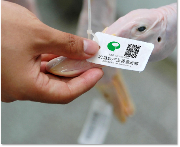 全聚德严把食材质量关 烤鸭传承百年的好吃“秘诀”