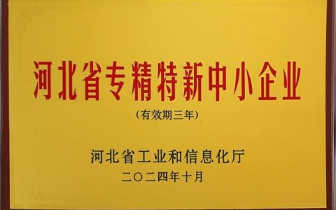 超级视线（Super Vision）荣获“专精特新”中小企业认定