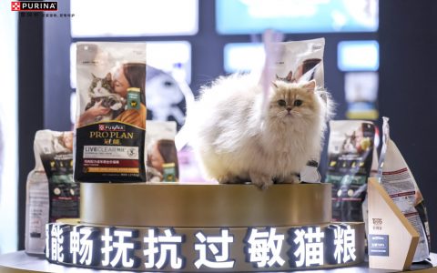 破解对猫过敏难题，冠能畅抚猫粮本土化新品重磅上市