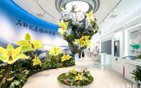 植物医生高山石斛馆落成，“中国成分”实现价值升舱