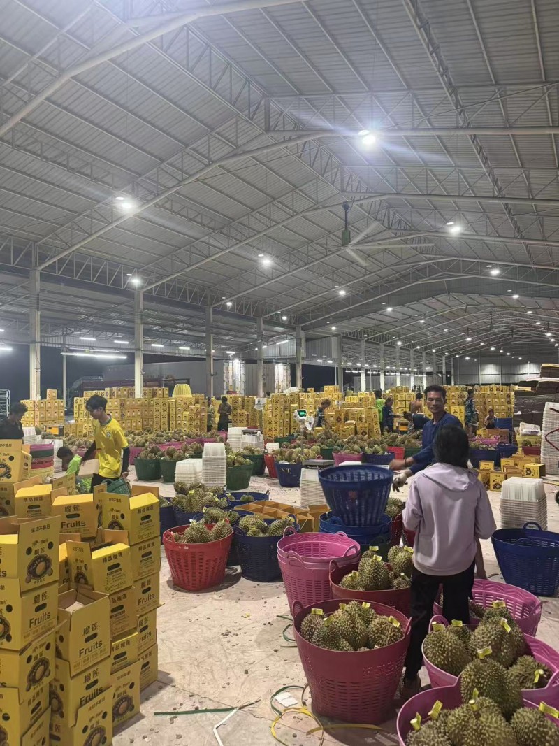 首次实现泰国榴莲直发，快手电商打通跨境生鲜新链路